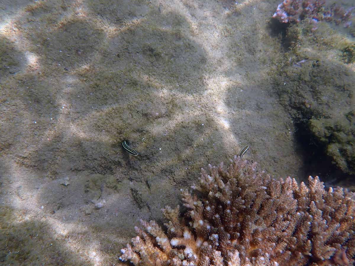 P2030294.jpg P2030294.jpg