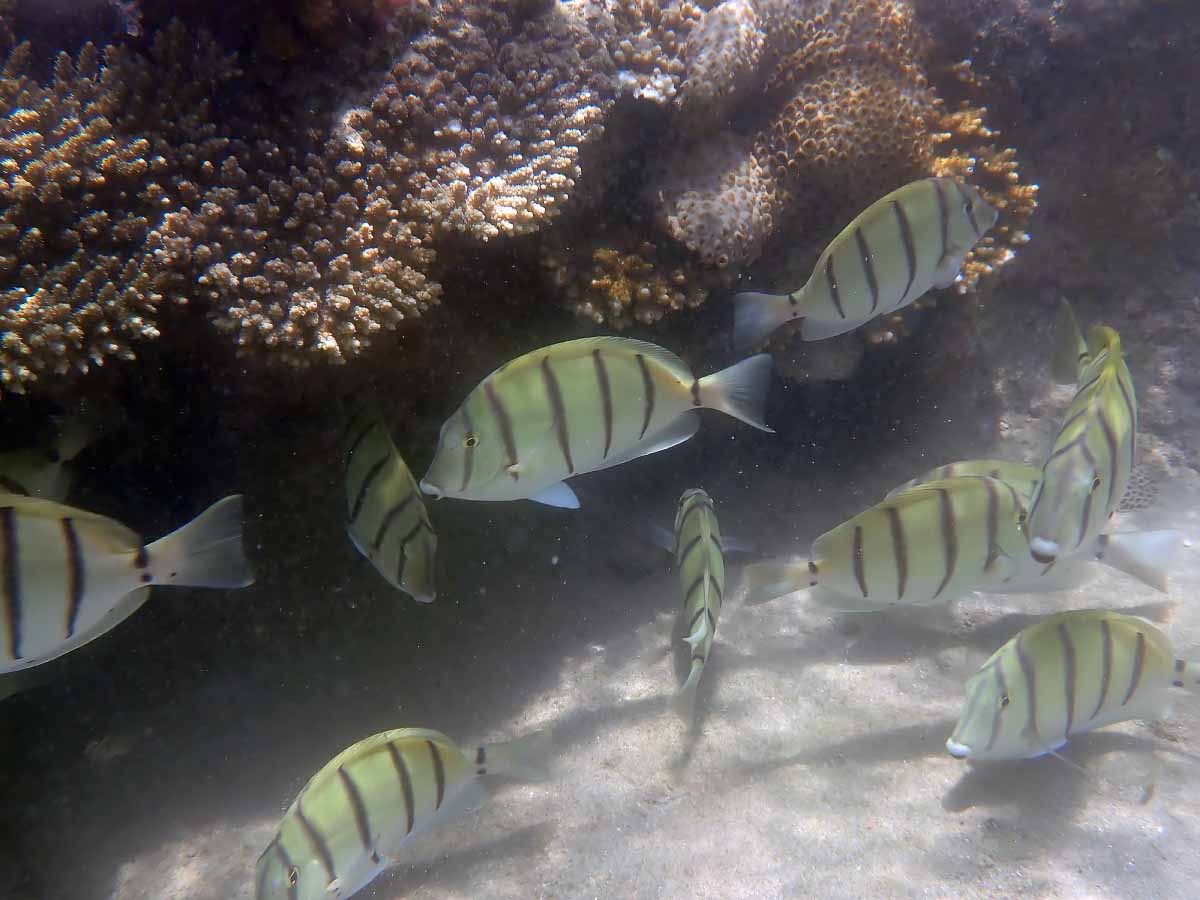 P2030307.jpg P2030307.jpg