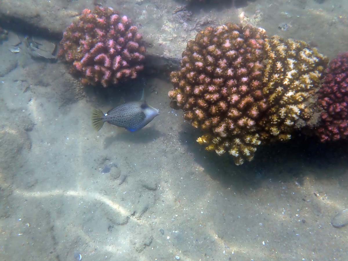 P2030315.jpg P2030315.jpg