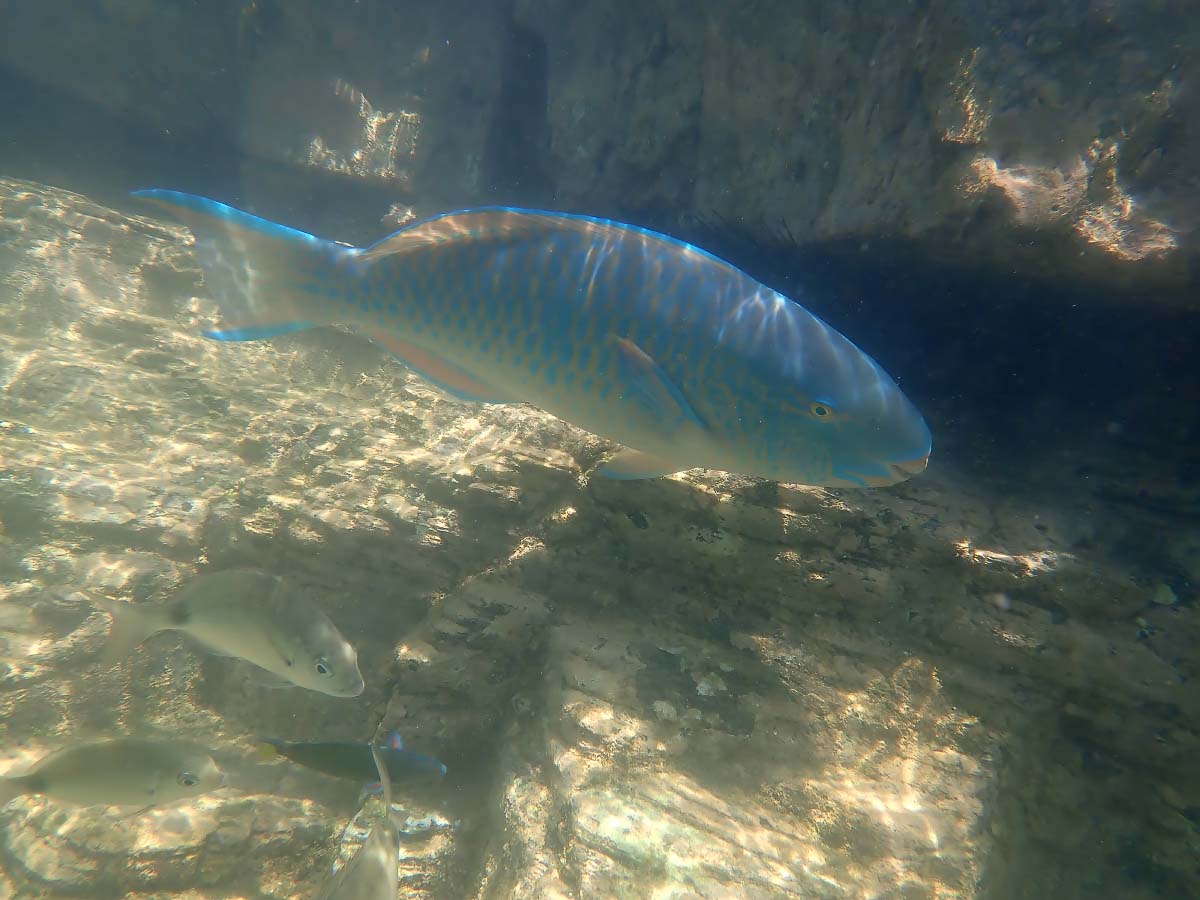 P2030326.jpg P2030326.jpg