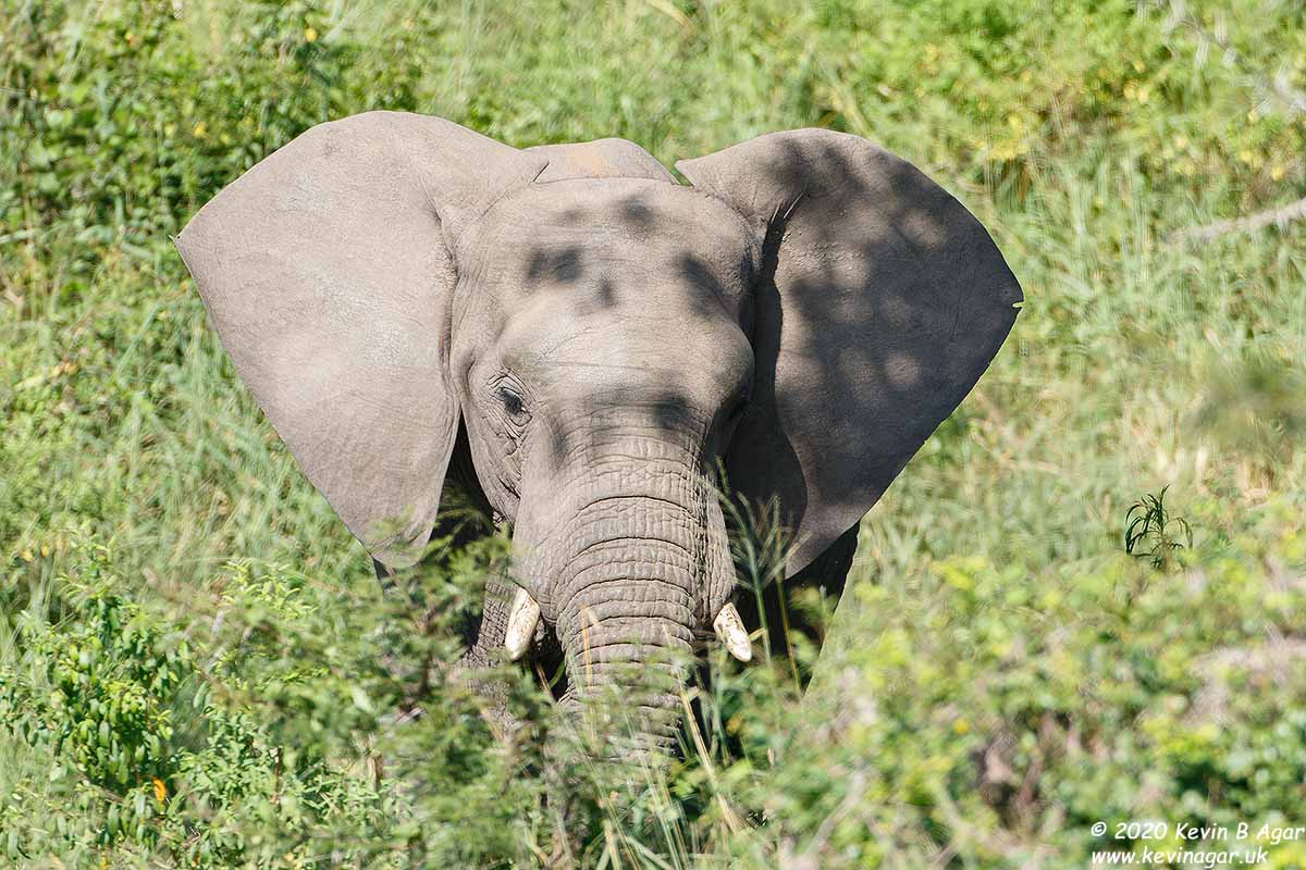 7D2_6659.jpg 7D2_6659.jpg