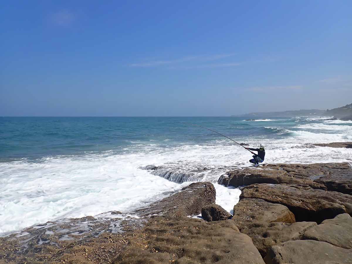 P2050344.jpg P2050344.jpg