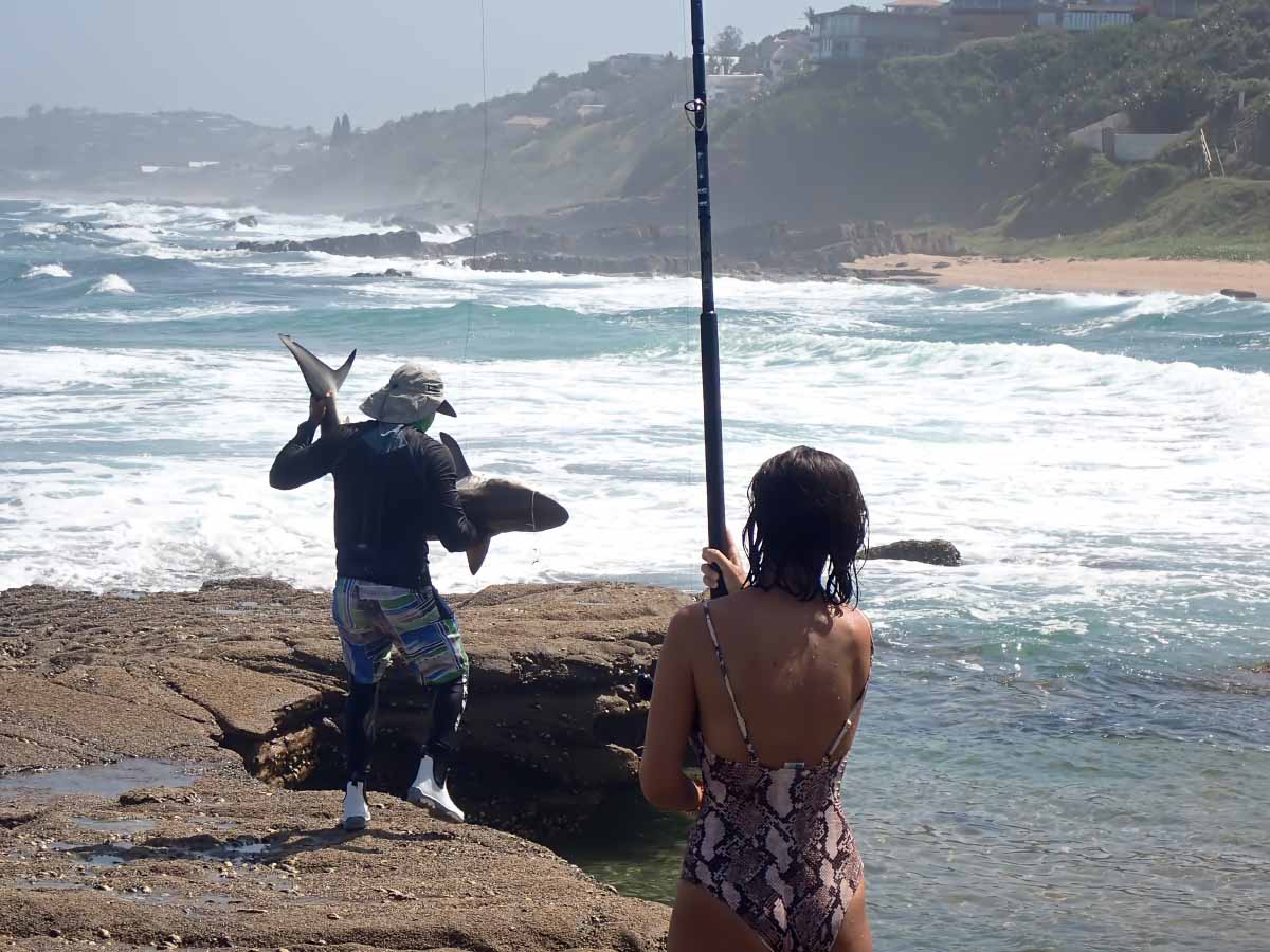 P2050349.jpg P2050349.jpg