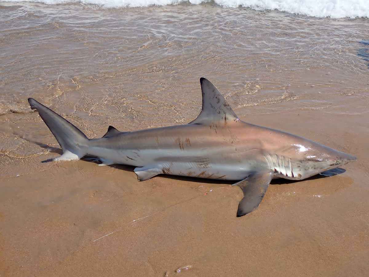 P2050360.jpg P2050360.jpg