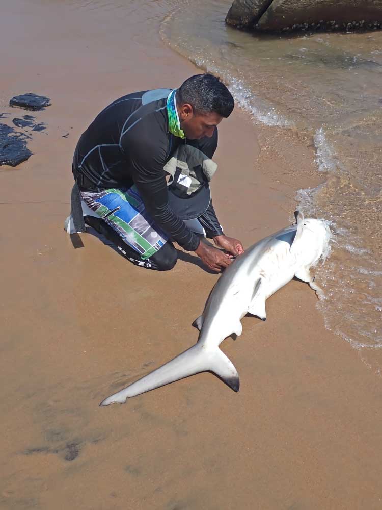 P2050362.jpg P2050362.jpg