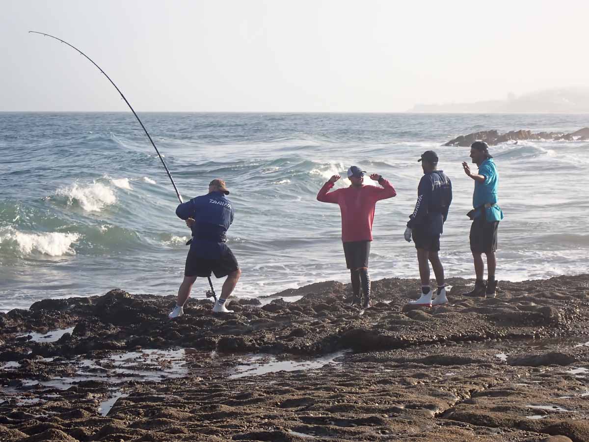 P2050382.jpg P2050382.jpg