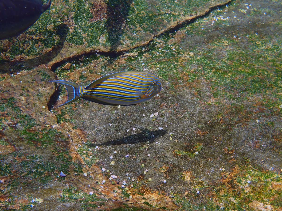 P2060414.jpg P2060414.jpg