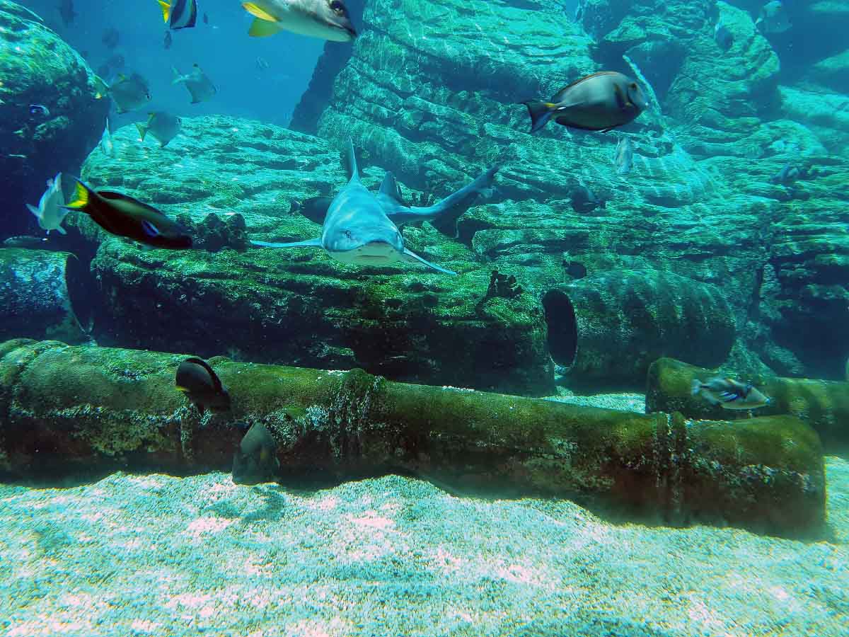 20200206_120805.jpg 20200206_120805.jpg