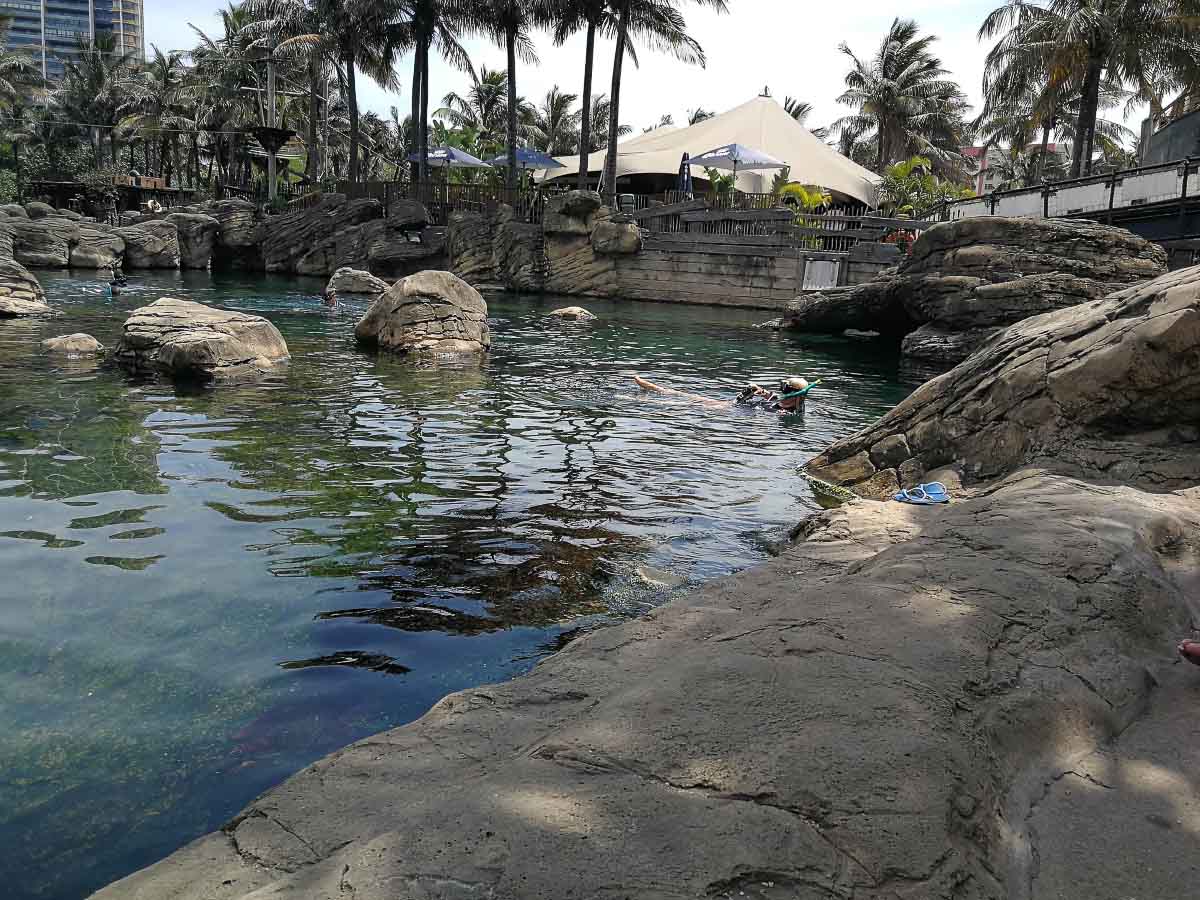 IMG_20200206b.jpg IMG_20200206b.jpg