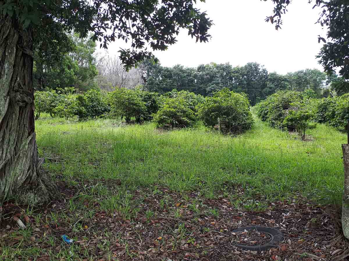 20200208_140252.jpg 20200208_140252.jpg