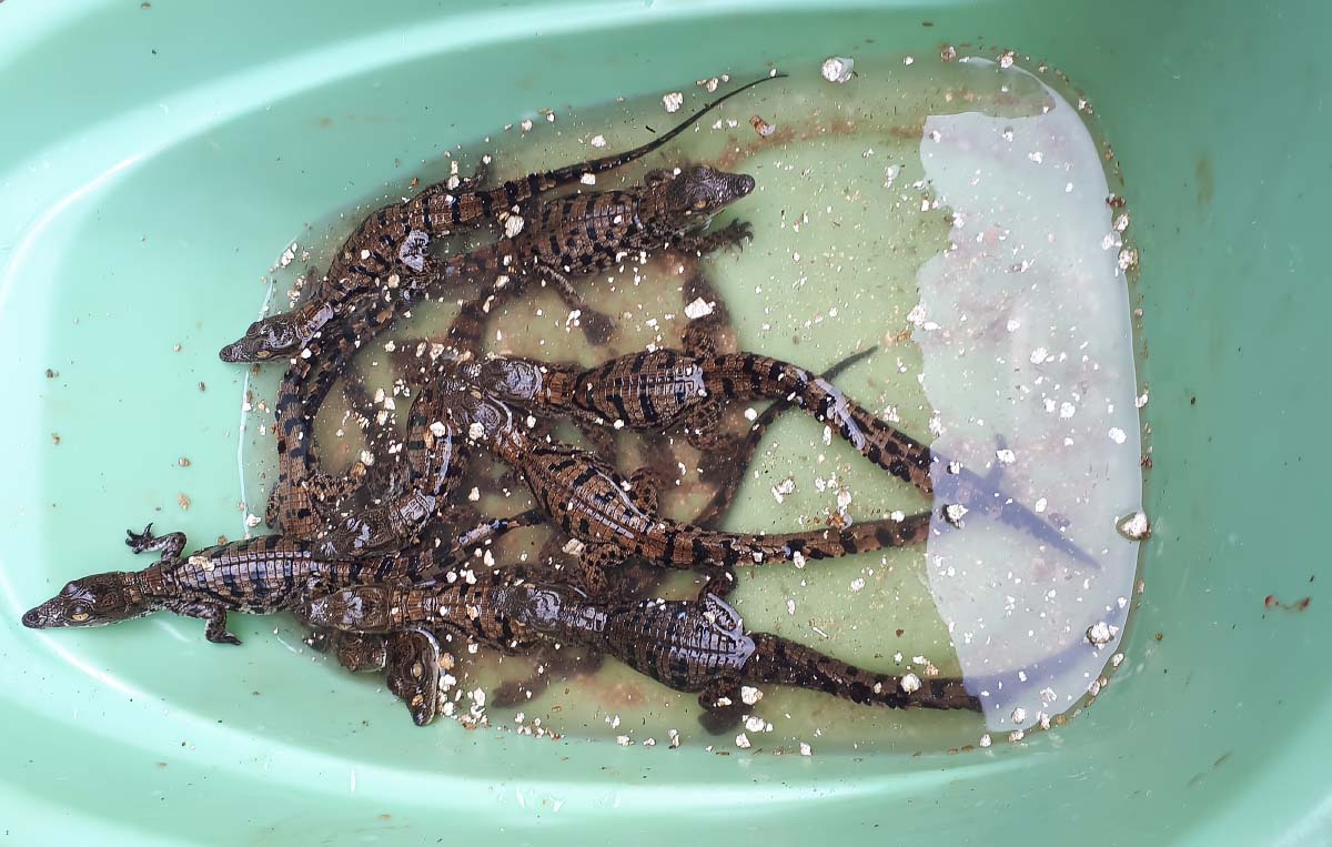 20200209_161006.jpg 20200209_161006.jpg