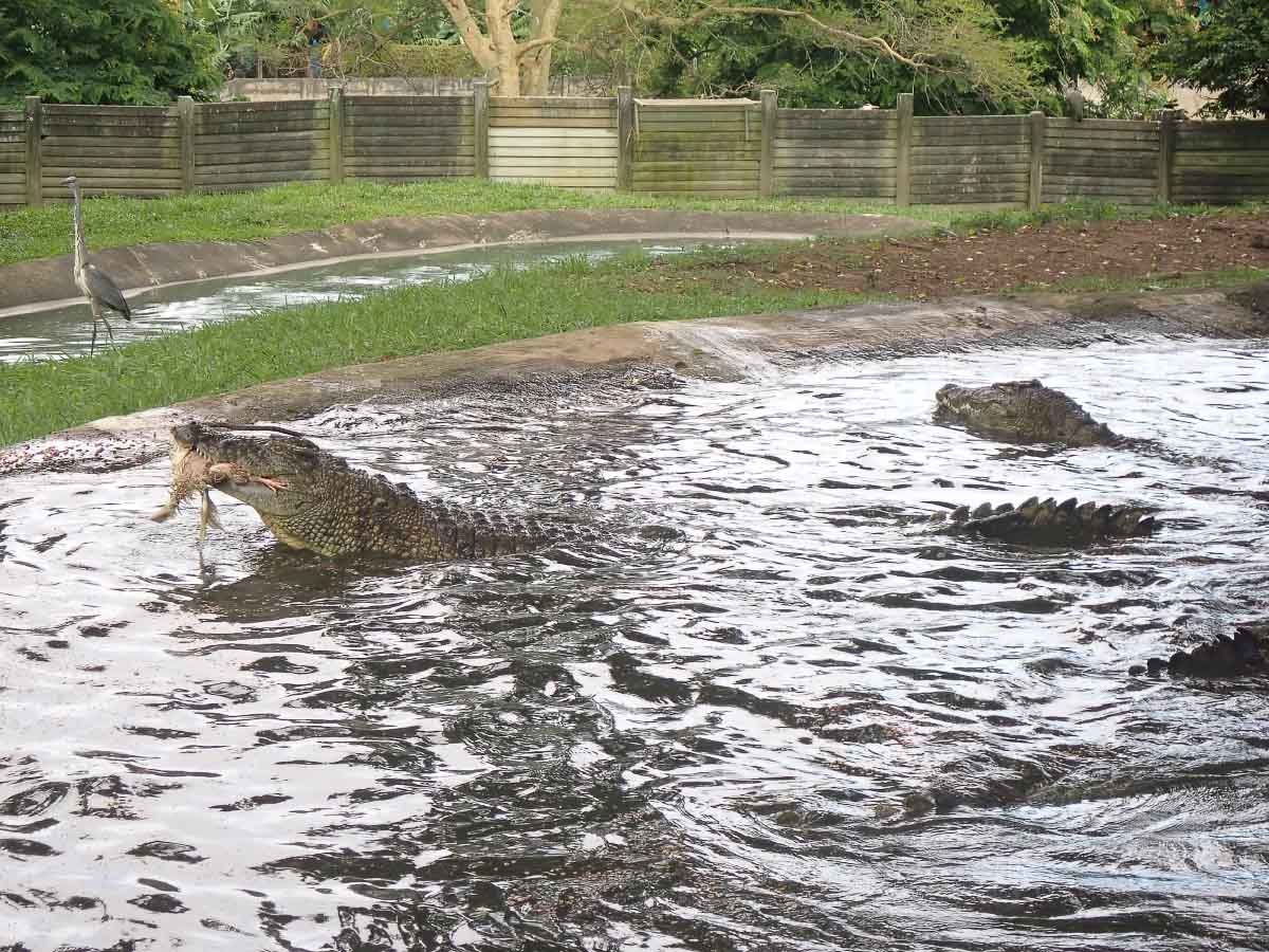 P2090454.jpg P2090454.jpg