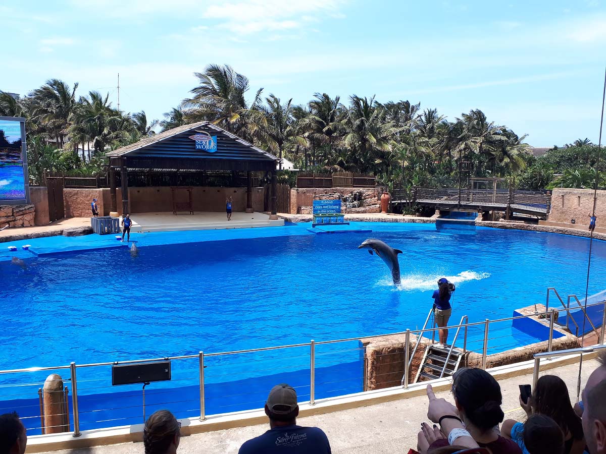 20200206_114838.jpg 20200206_114838.jpg