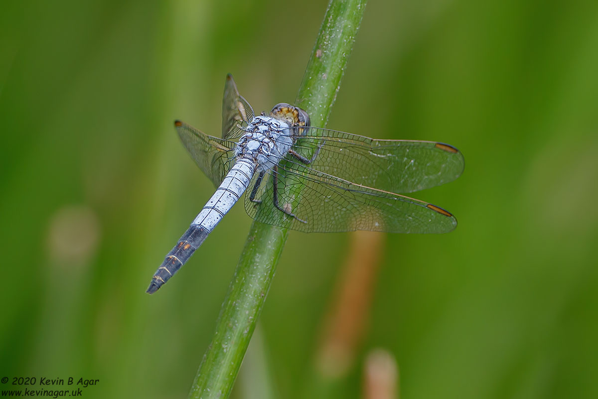 7D2_8021.jpg