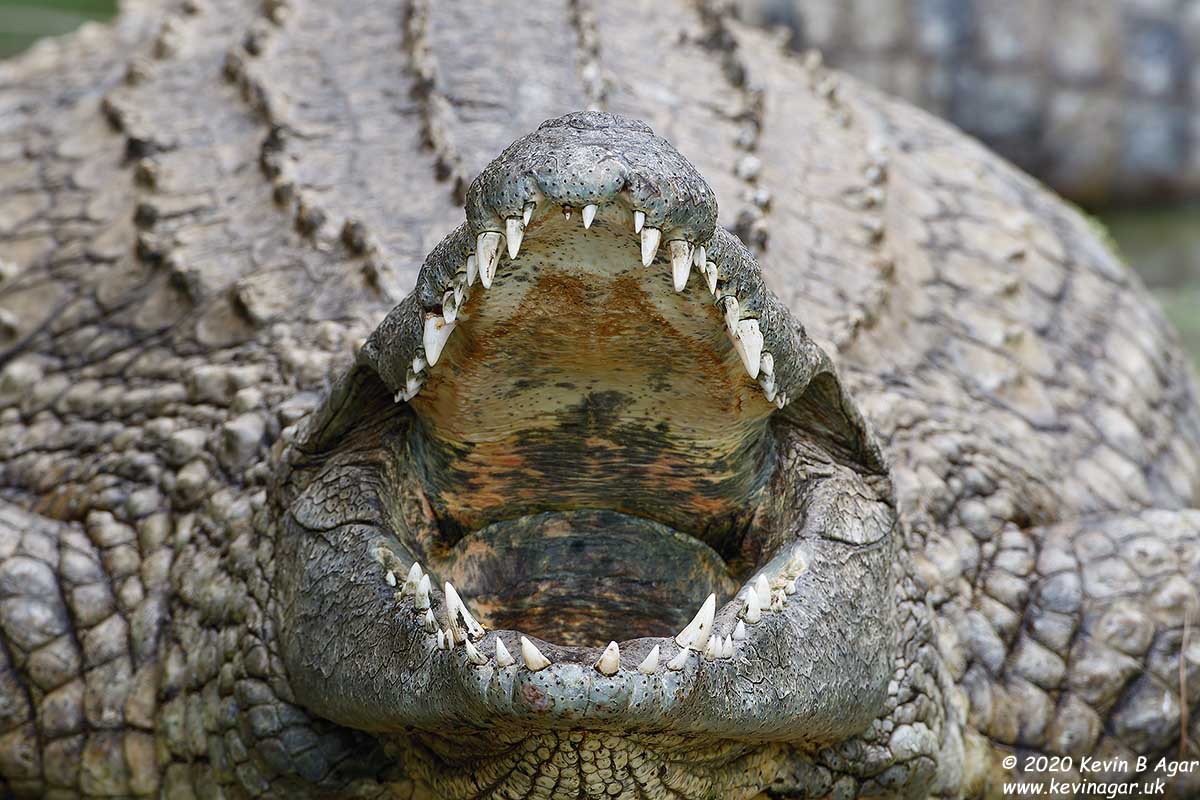 7D2_7366.jpg 7D2_7366.jpg