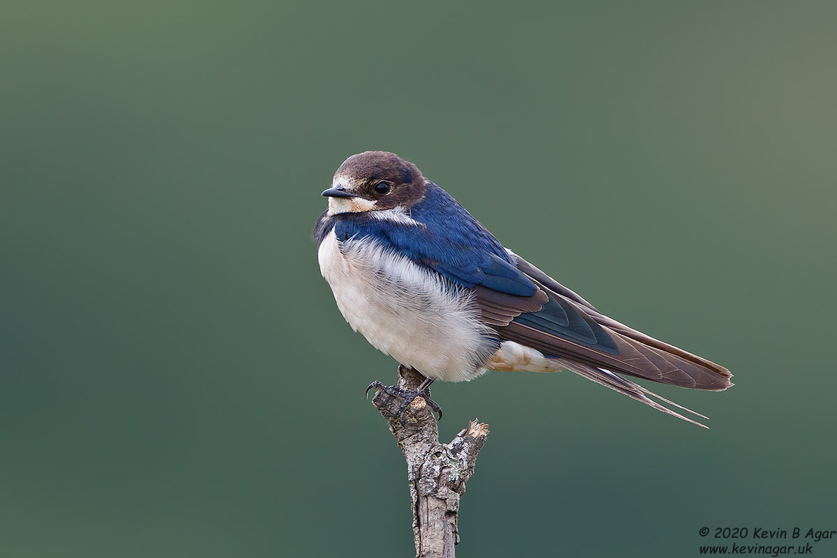 7D2_7538.jpg 7D2_7538.jpg