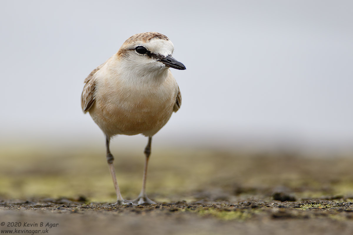 7D2_6160.jpg 7D2_6160.jpg