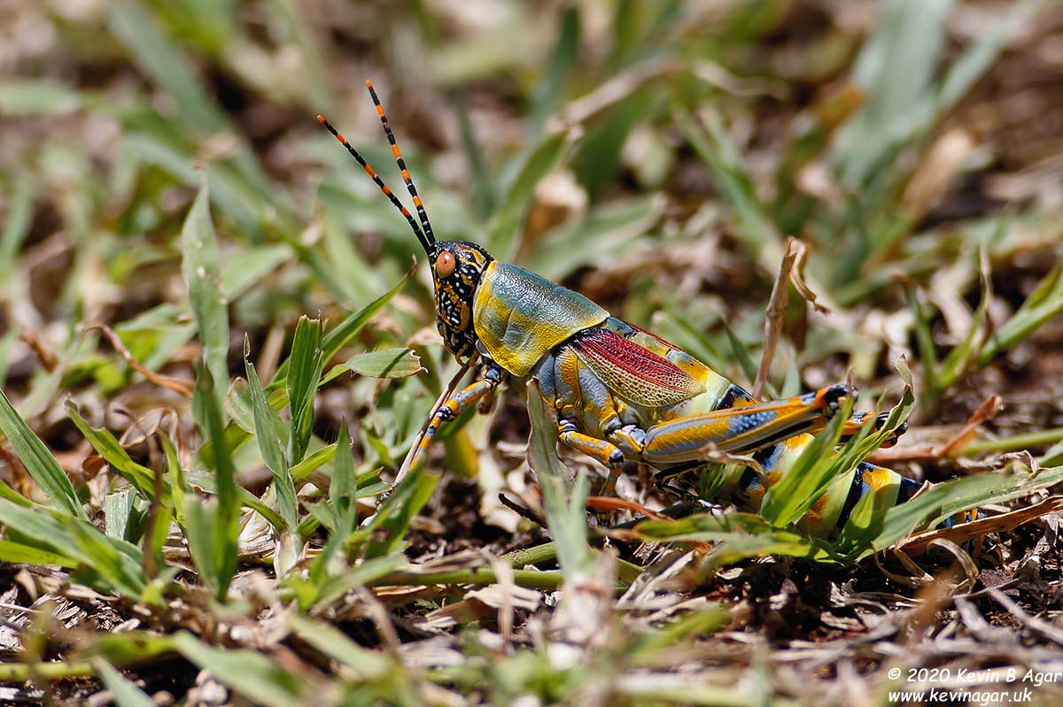 7D2_6269.jpg 7D2_6269.jpg