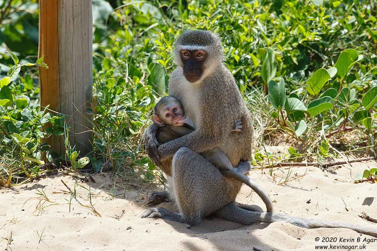 7D2_6238.jpg 7D2_6238.jpg