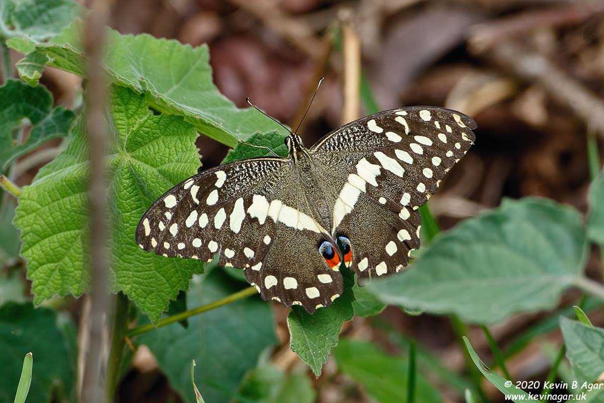 7D2_5842.jpg 7D2_5842.jpg