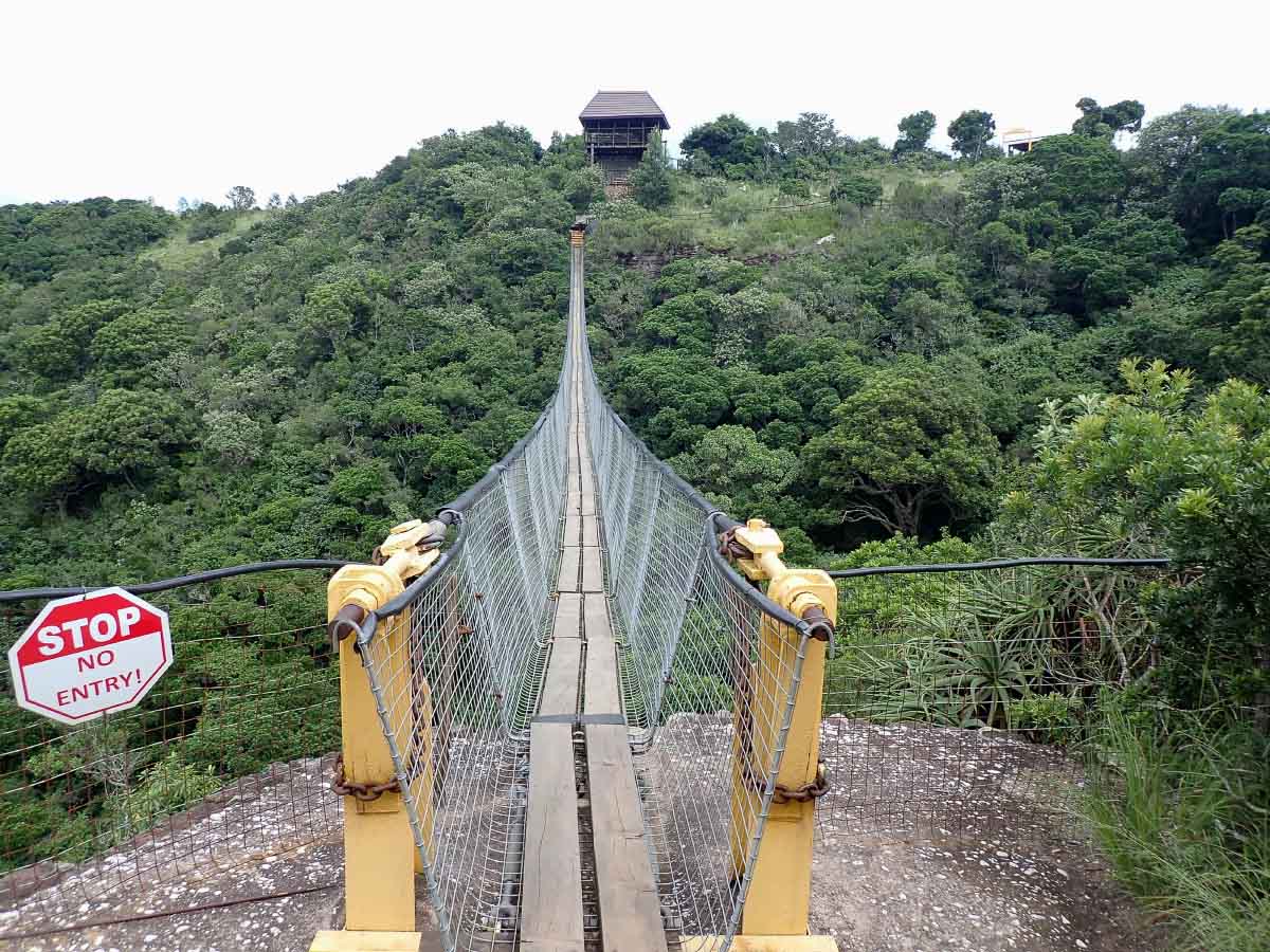 P2110493.jpg P2110493.jpg