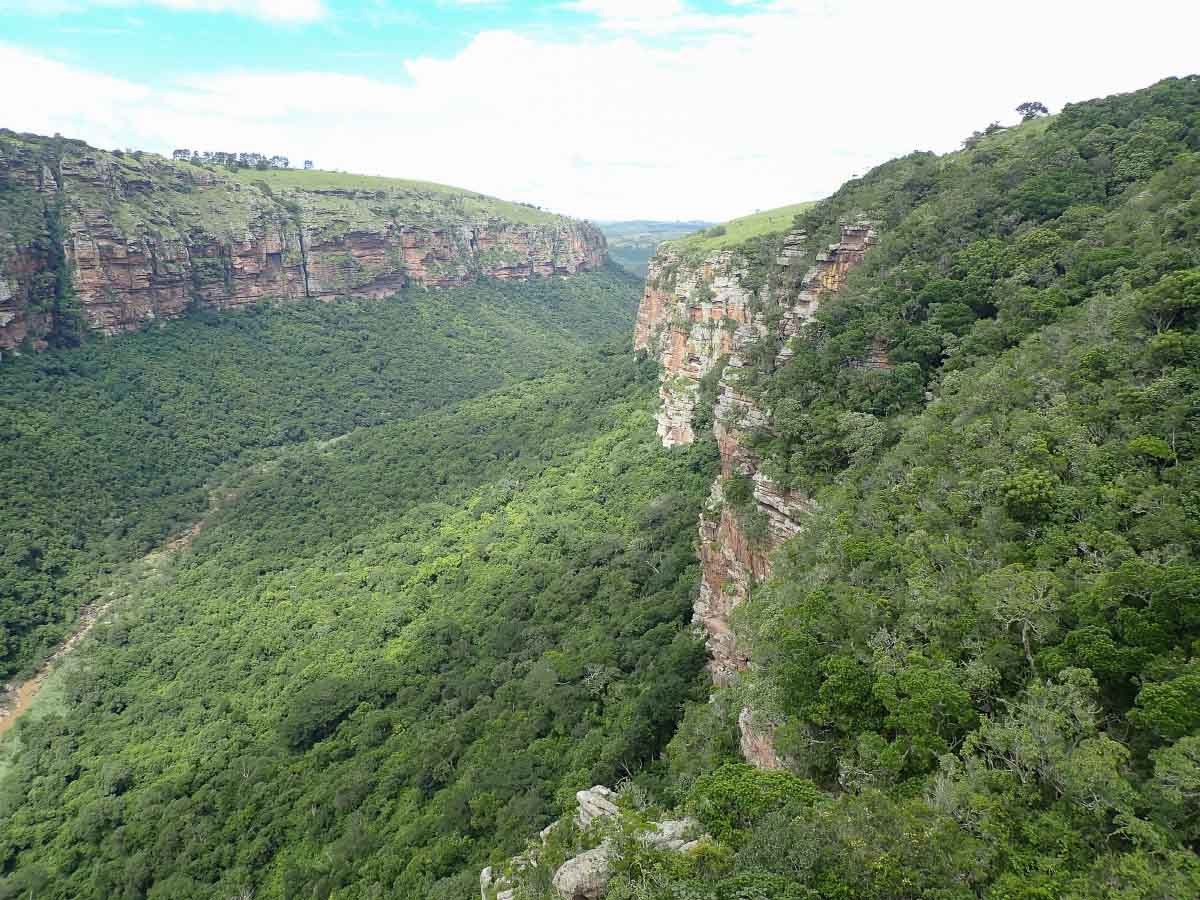 P2110492.jpg P2110492.jpg