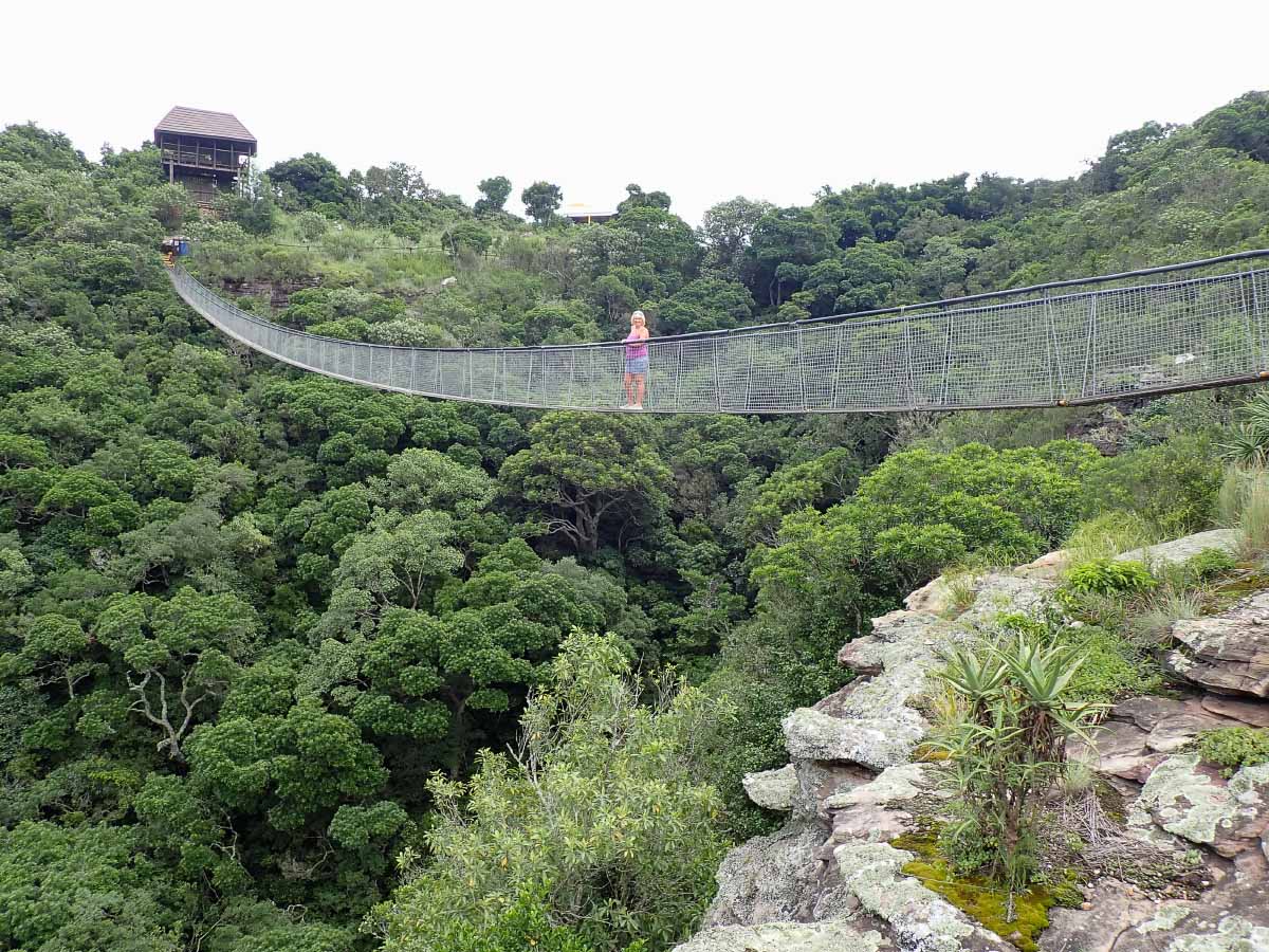 P2110488.jpg P2110488.jpg