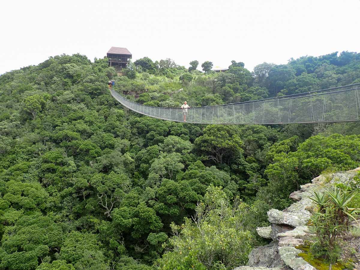 P2110486.jpg P2110486.jpg