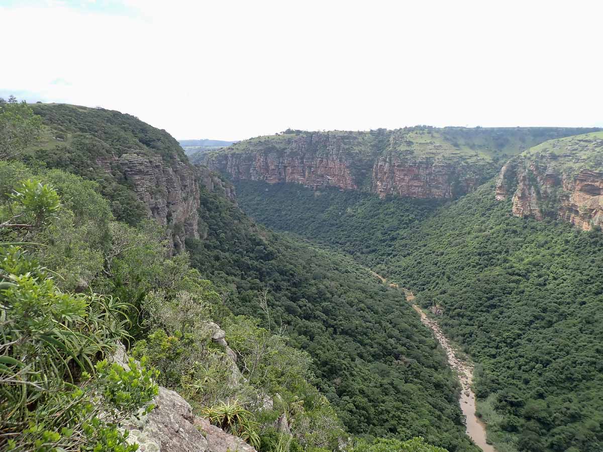 P2110485.jpg P2110485.jpg