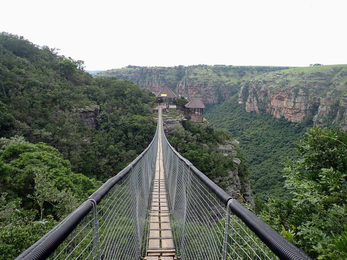 P2110480.jpg P2110480.jpg