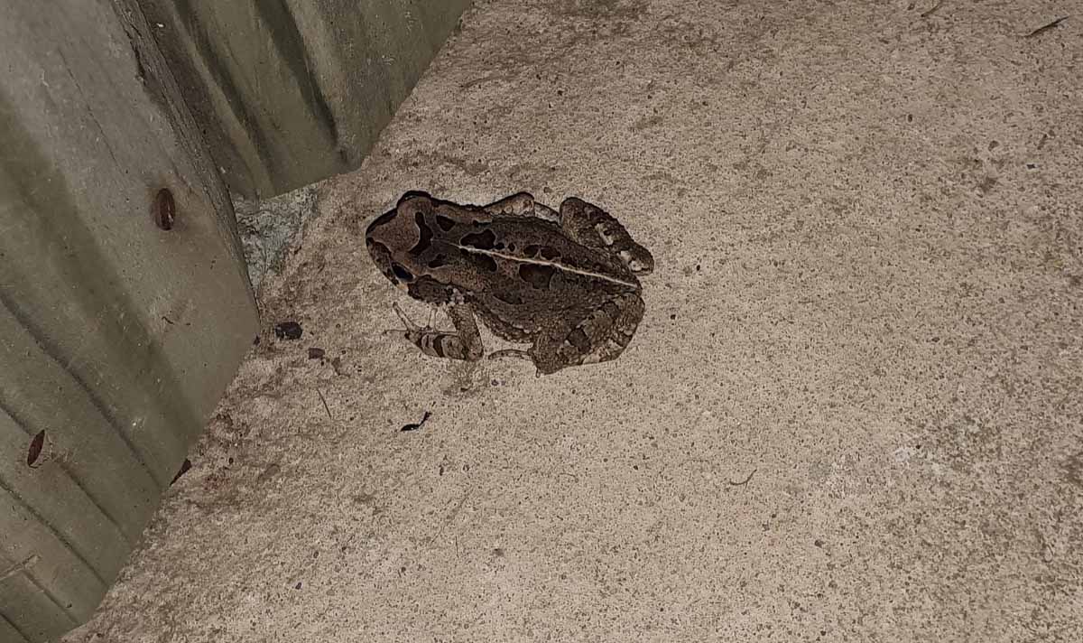 20200212_200112.jpg 20200212_200112.jpg