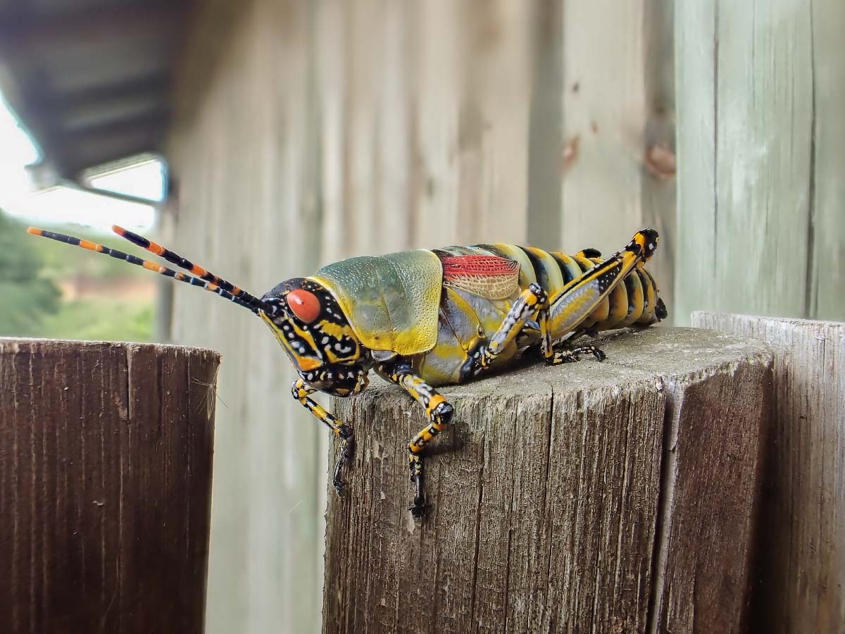 P2120594.jpg P2120594.jpg