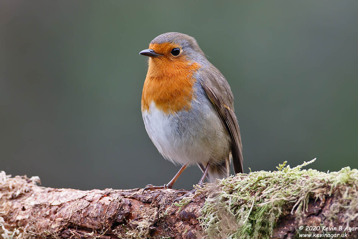 7D2_9687.jpg 7D2_9687.jpg