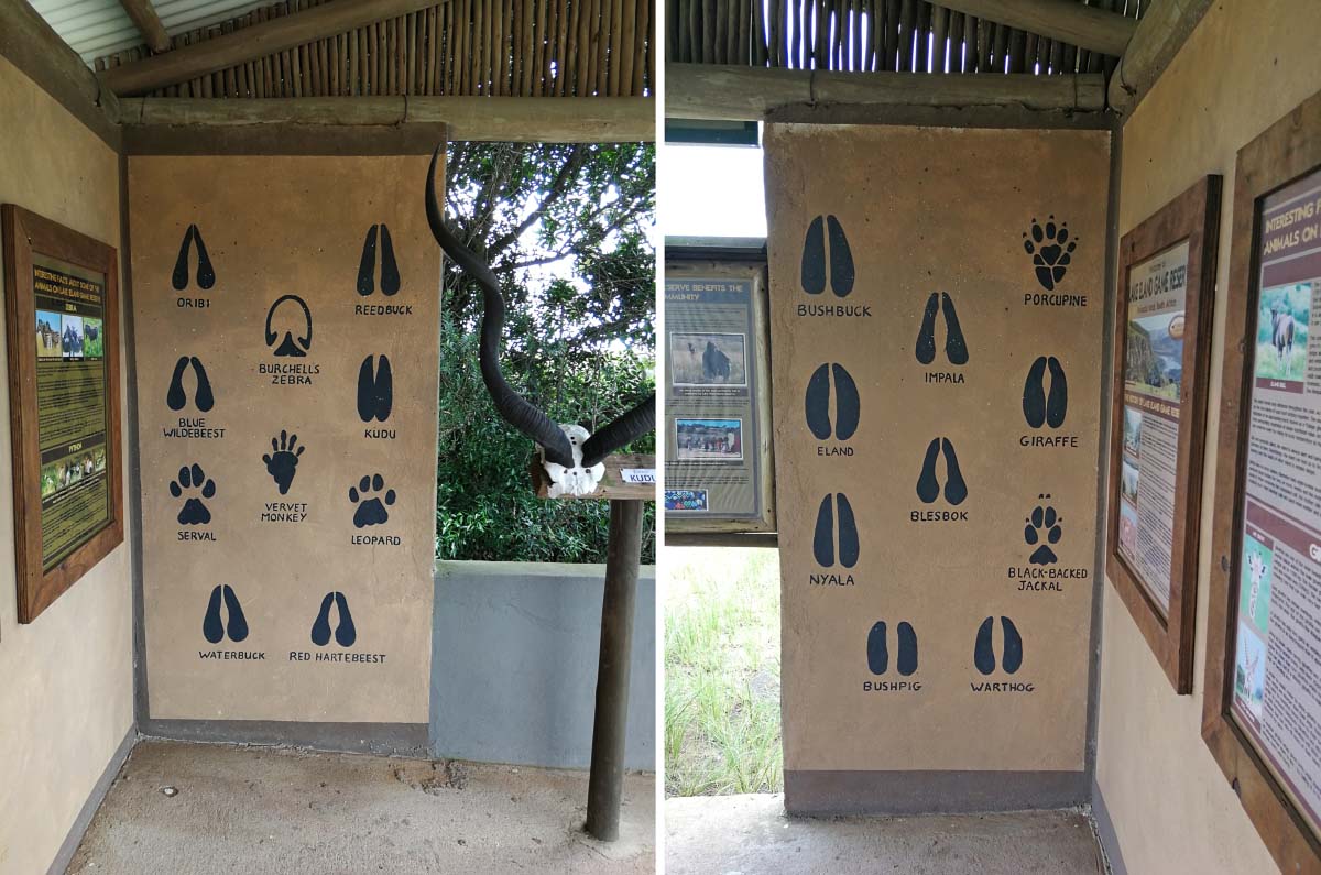 IMG_20200211_105544.jpg IMG_20200211_105544.jpg