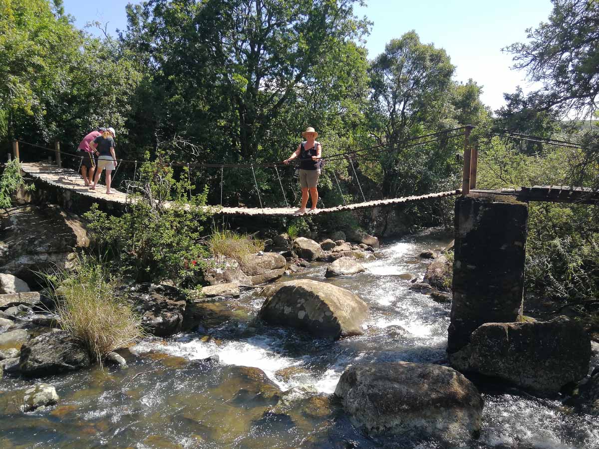 IMG_20200215_095617.jpg IMG_20200215_095617.jpg