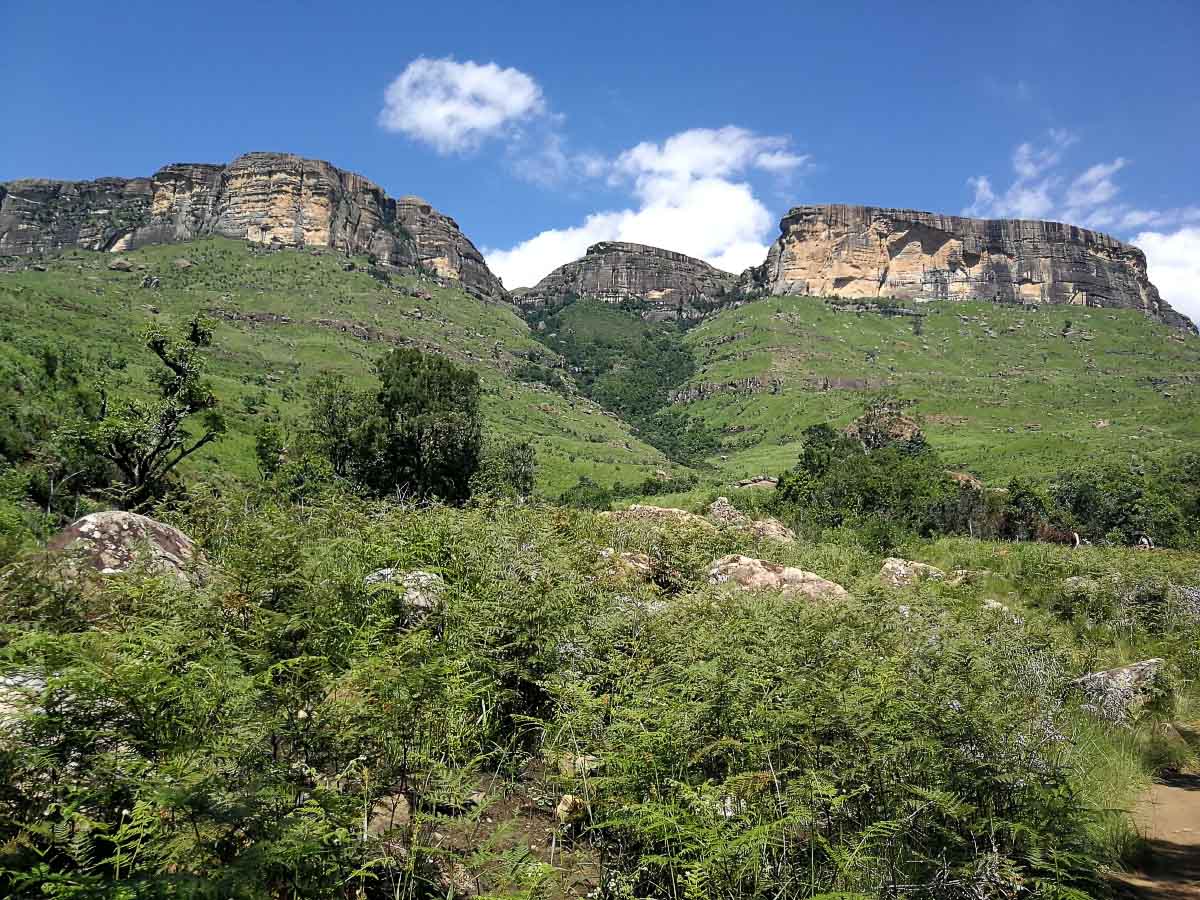 IMG_20200215_101754.jpg IMG_20200215_101754.jpg