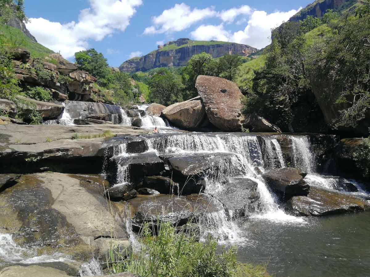 IMG_20200215_104051.jpg IMG_20200215_104051.jpg