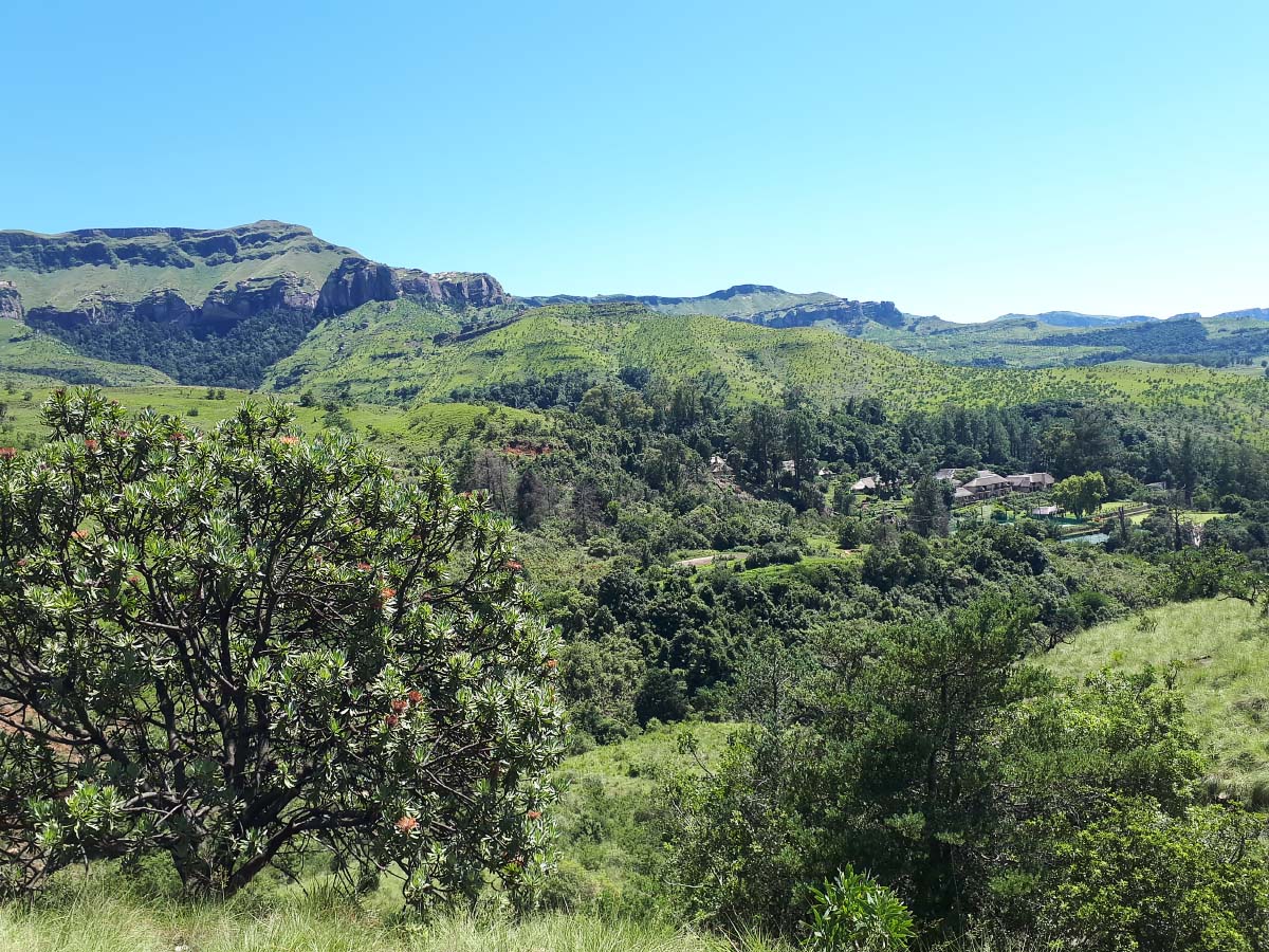 20200216_105023.jpg 20200216_105023.jpg