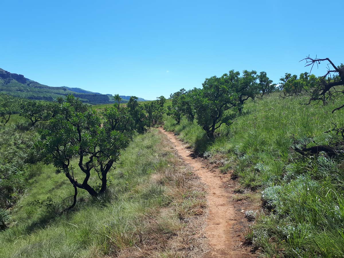 20200216_105728.jpg 20200216_105728.jpg