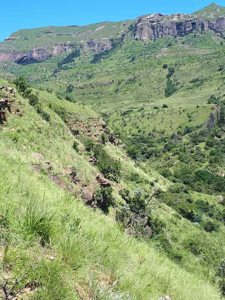 20200216_111223.jpg 20200216_111223.jpg