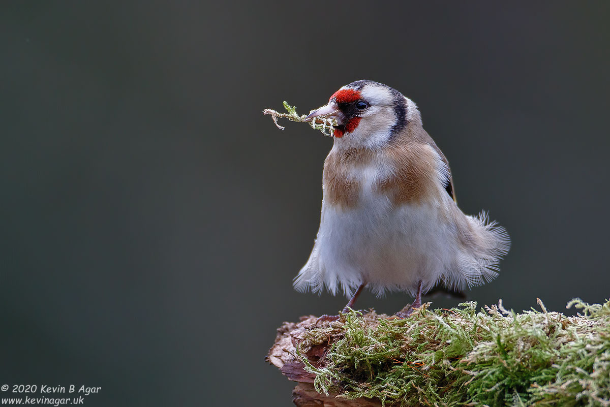 7D2_9548.jpg 7D2_9548.jpg