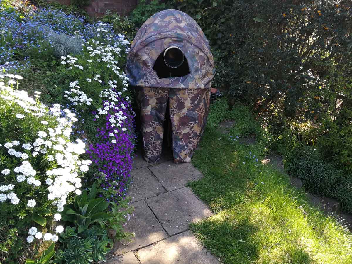 IMG_20200421_104706a.jpg IMG_20200421_104706a.jpg