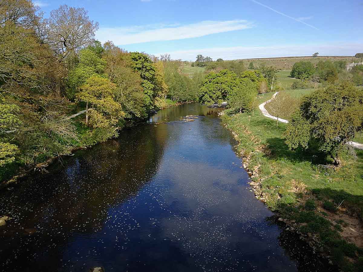 IMG_20200527_083013.jpg IMG_20200527_083013.jpg