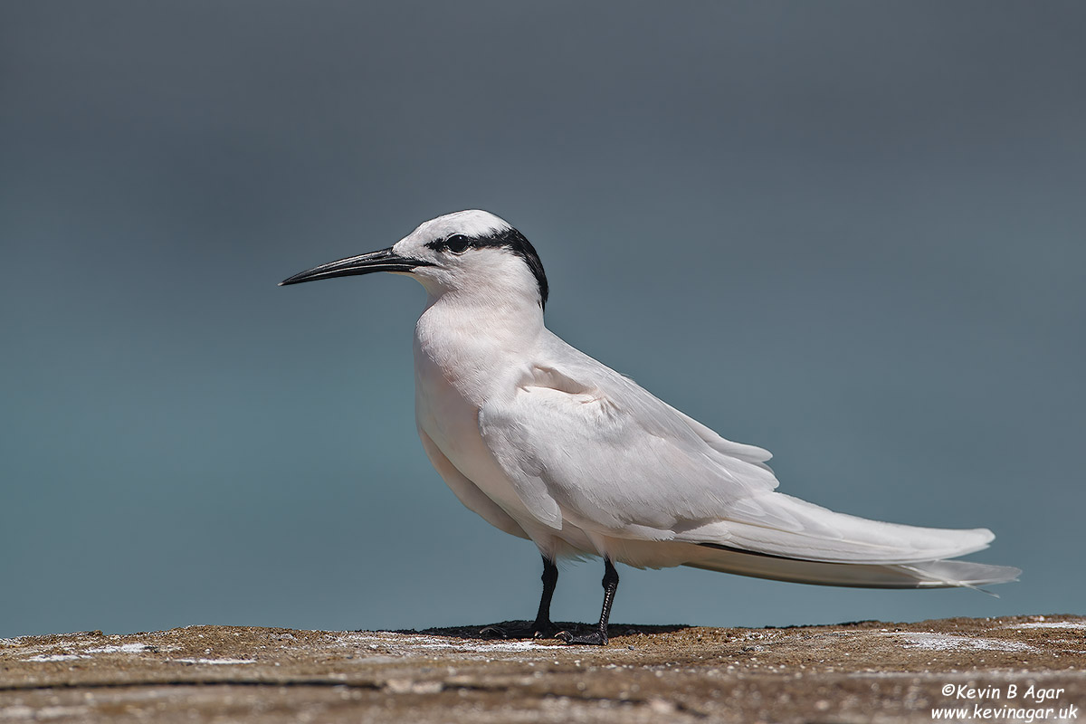 7D2_4574.jpg 7D2_4574.jpg