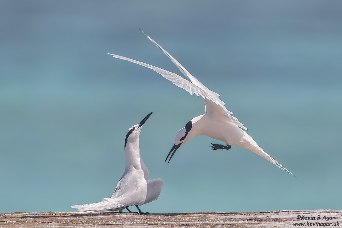 7D2_4561.jpg 7D2_4561.jpg