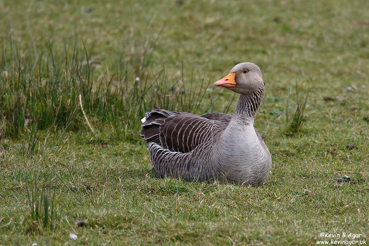 7D2_0525.jpg