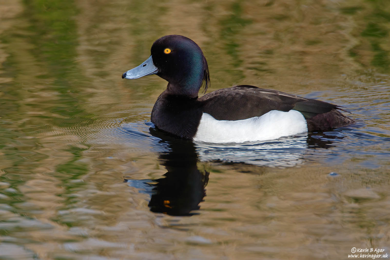 7D2_3295.jpg