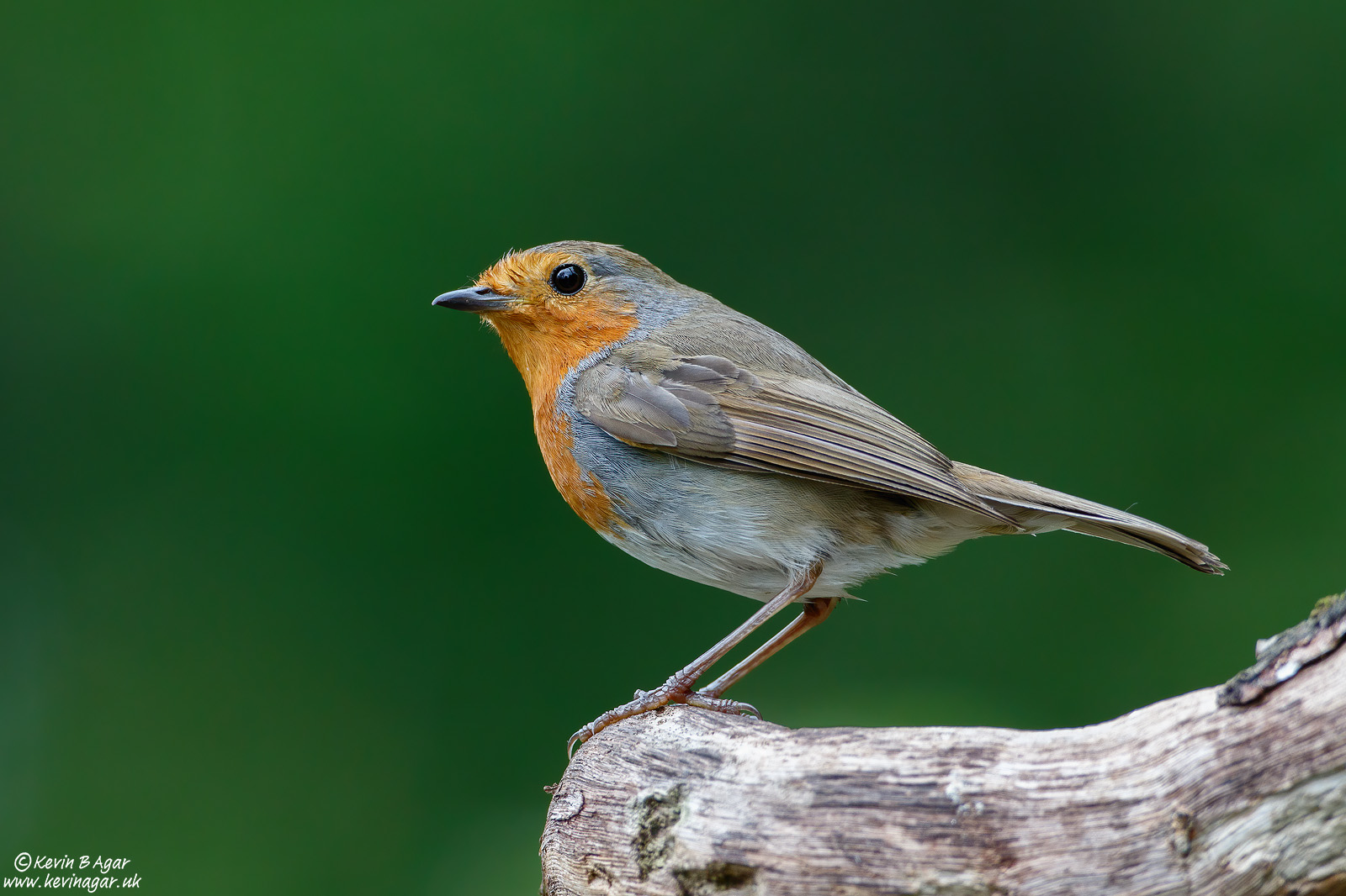 7D2_3349.jpg 7D2_3349.jpg