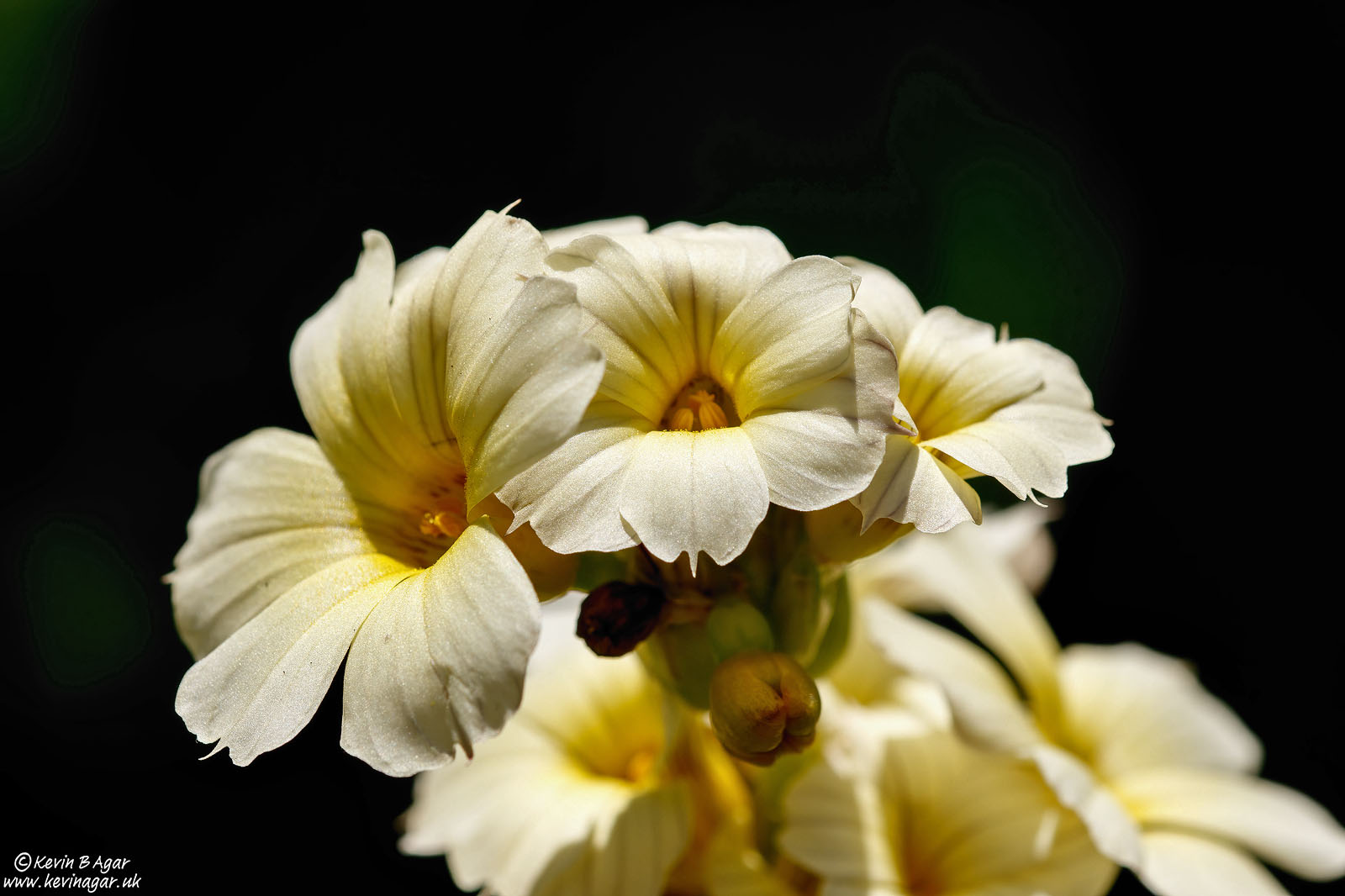 7D2_5064.jpg