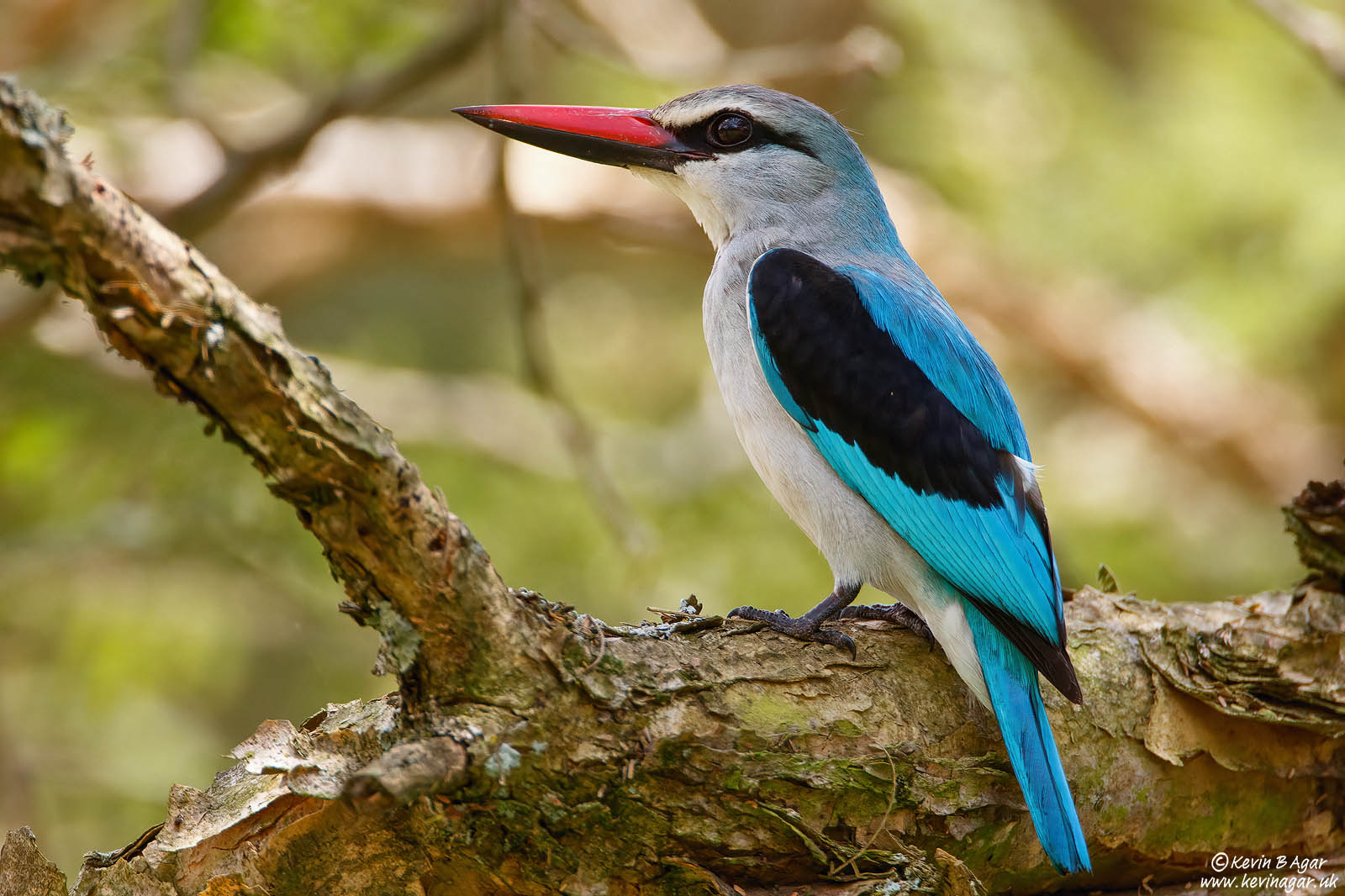 7D2_2069.jpg 7D2_2069.jpg